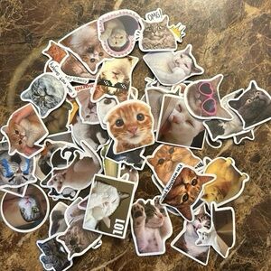 Cute Cat Meme Stickers 50 Pieces